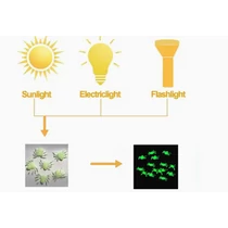 Fluoreszkáló pókok 50db/cs.